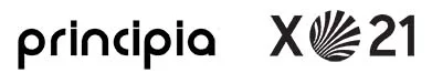 Programa Principia