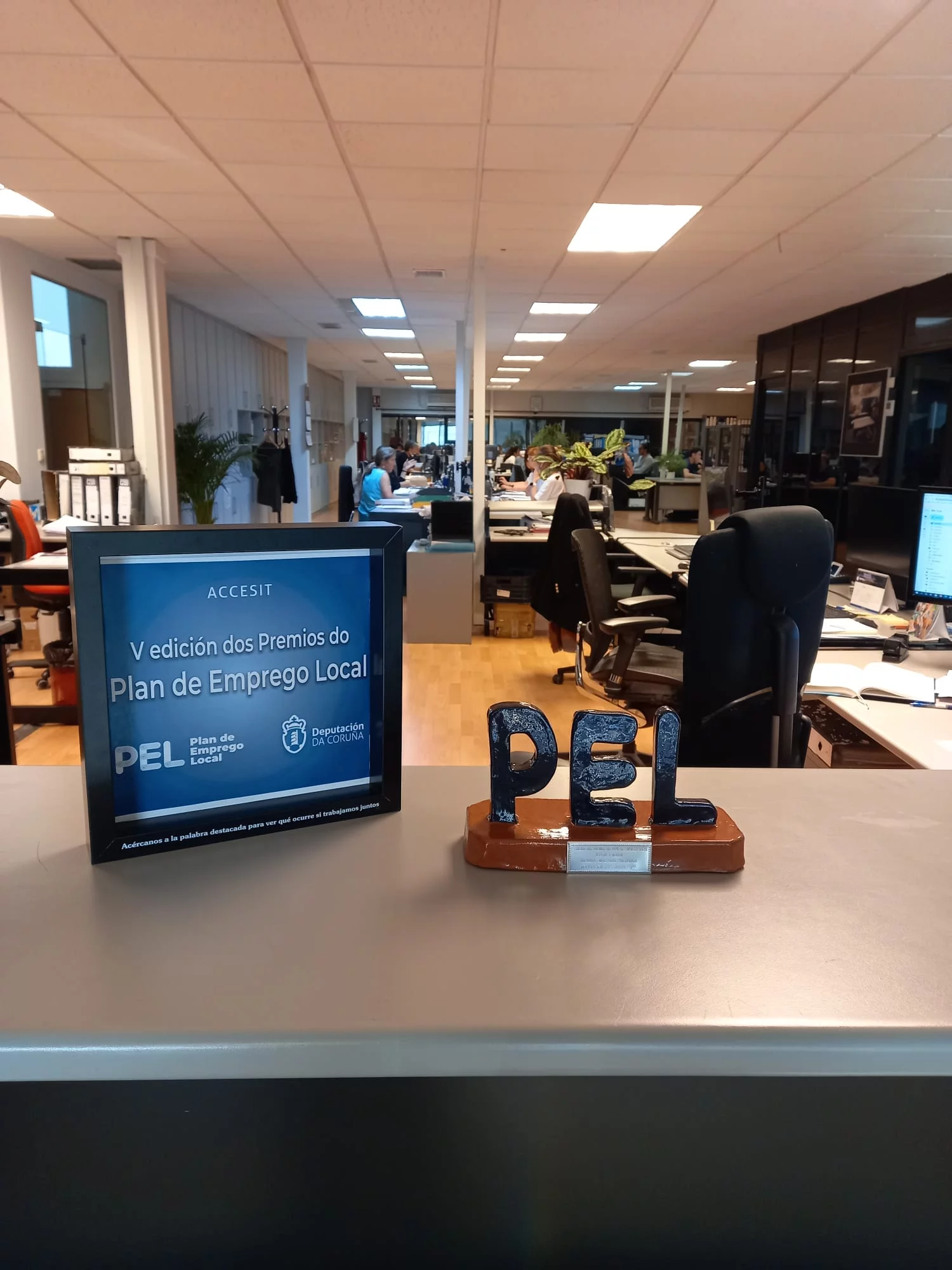 Equipos Lagos gana el Accésit en los Premios PEL a mejor iniciativa empresarial consolidada